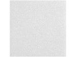 Armstrong LYRA Plant-Based Square Lay-In Ceiling Tile, 24" x 24", White, 24/Carton (BP8372PB)