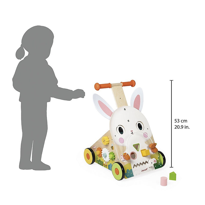 Janod Farm Multi-Activity Baby Walker, Multicolored (J03326)