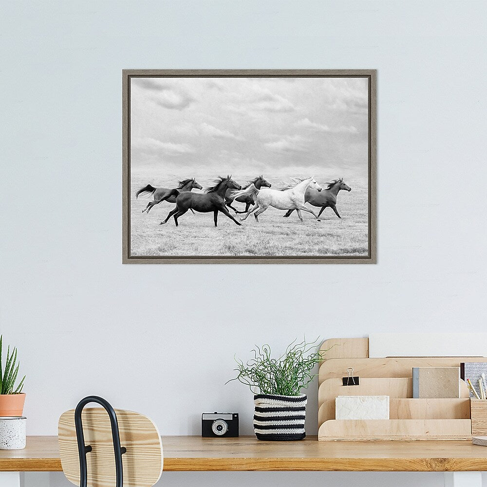 Amanti Art Horse Run I by PHBurchett Framed Canvas Wall Art Print, 24" x 18" (A42675322595)