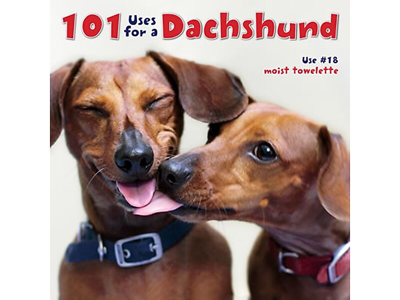 101 Uses For A Dachshund, Hardcover