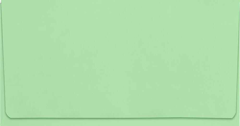 JAM Paper 6 3/4 Booklet Envelope 3 5/8" x 6 1/2", Pastel Green, 50/Pack (R0266-50)