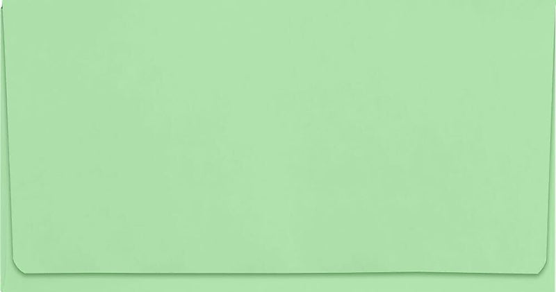 JAM Paper 6 3/4 Booklet Envelope 3 5/8" x 6 1/2", Pastel Green, 50/Pack (R0266-50)