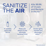 Lysol Air Sanitizer Aerosol, Light Breeze Scent, 10 oz. (RAC99394EA)