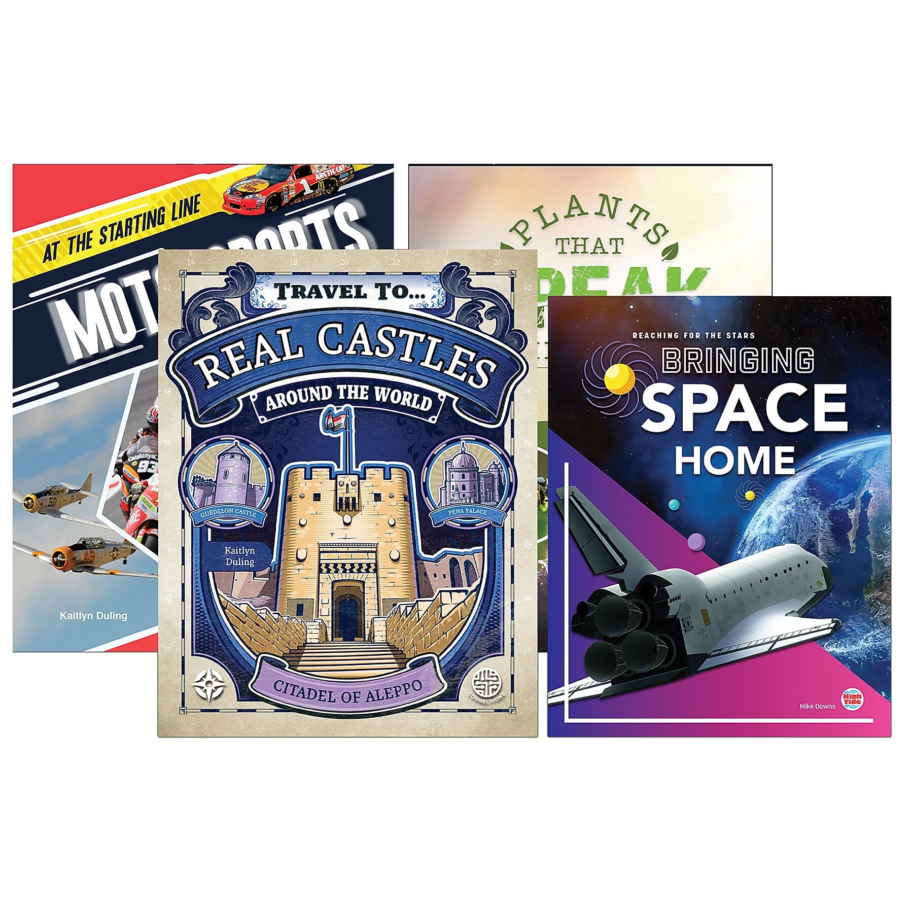 Spectrum Language and Literacy Backpack, Grade 6 Workbook, 6/Set (CD-745415)
