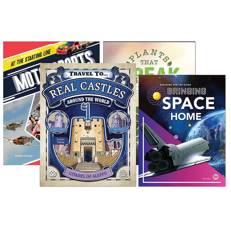 Spectrum Language and Literacy Backpack, Grade 6 Workbook, 6/Set (CD-745415)