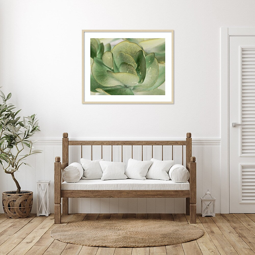 Amanti Art Petal I by Tang Ling Wood Framed Wall Art Print, 41" x 33" (A42675533997)