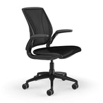 Humanscale Diffrient World Ergonomic Mesh Swivel Task Chair, Black (W11BJ10J10SHNSC)