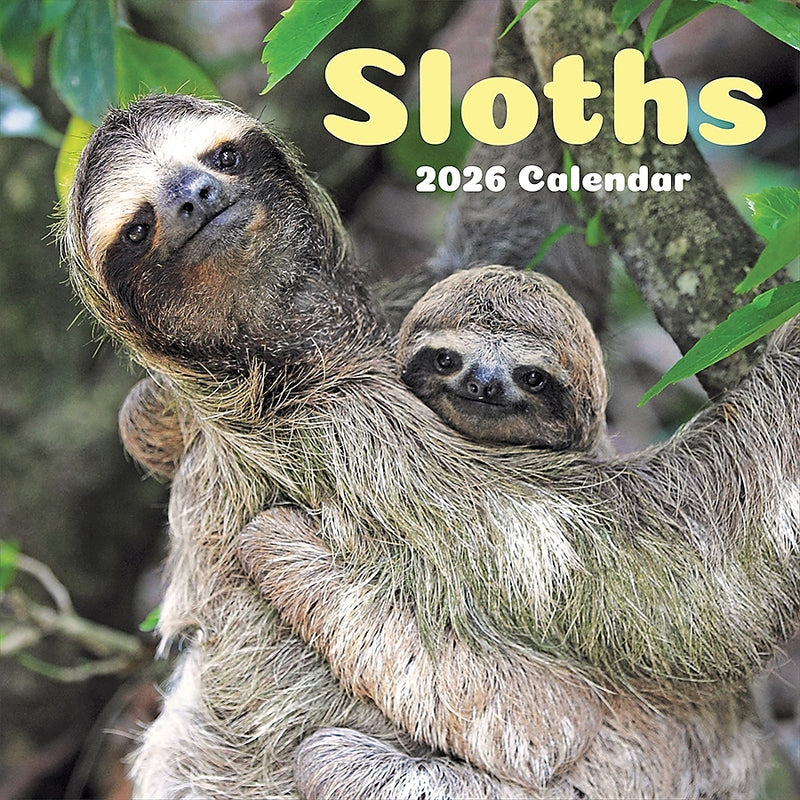 2026 TF Publishing Sloths 12" x 12" Monthly Wall Calendar (26-1045)