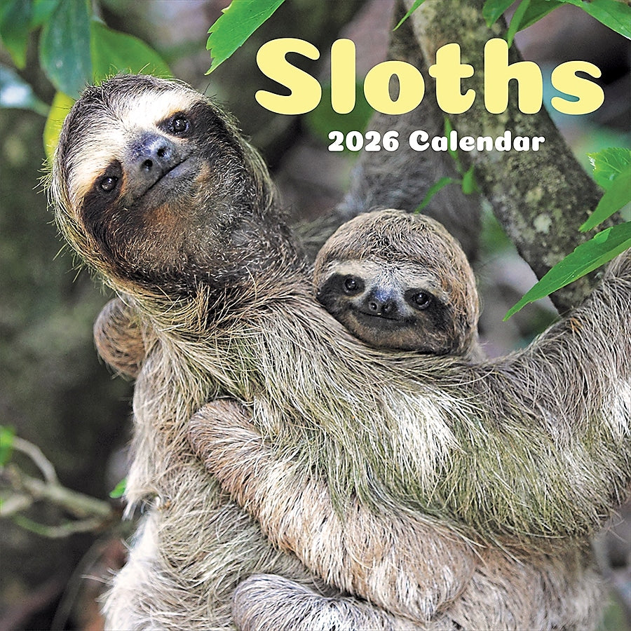 2026 TF Publishing Sloths 12" x 12" Monthly Wall Calendar (26-1045)