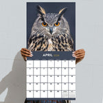 2026 TF Publishing Owls 12" x 12" Monthly Wall Calendar (26-1044)