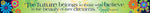 Barker Creek Double-Sided Border, 35" x 3", Italy Fiori Bellissimi, 12/Pack (LL959)