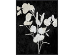 Amanti Art Plant Life White on Black III, Canvas, 23" x 30" (A42675515291)