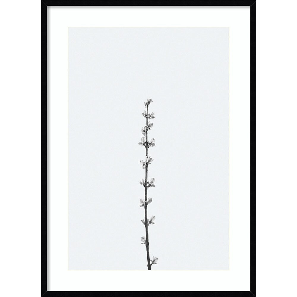 Amanti Art Retro Tennessee Botanical Print No 1 by Stephanie Klatt Wood Framed Wall Art Print, 30" x 41" (A42678254808)
