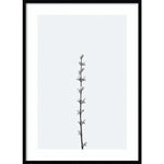 Amanti Art Retro Tennessee Botanical Print No 1 by Stephanie Klatt Wood Framed Wall Art Print, 30" x 41" (A42678254808)