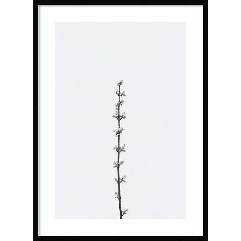 Amanti Art Retro Tennessee Botanical Print No 1 by Stephanie Klatt Wood Framed Wall Art Print, 30" x 41" (A42678254808)