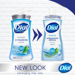 Dial Antibacterial Foaming Hand Soap, Spring Water Scent, 8/Carton (017000347394)