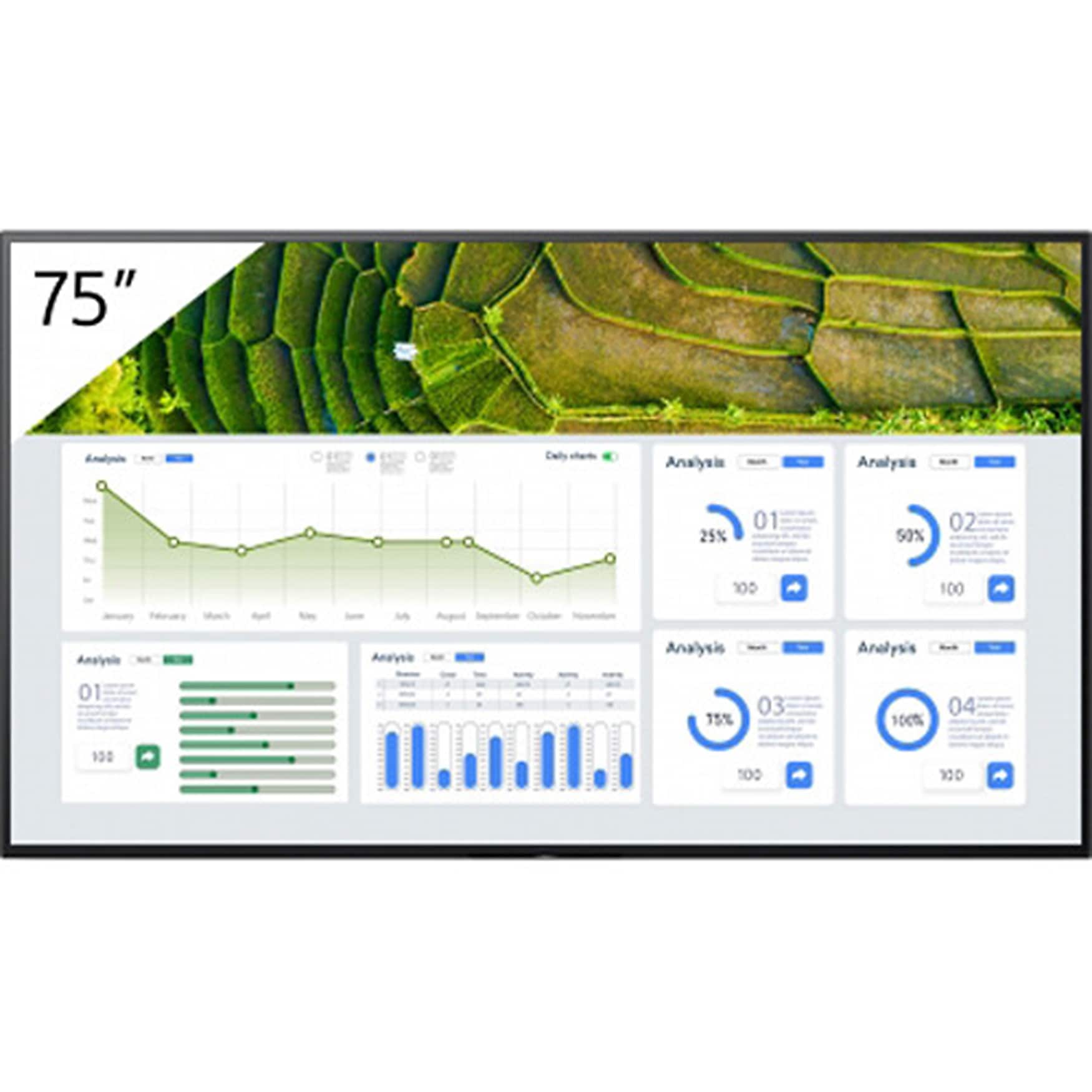 Sony BZ30L Professional 75" Wall-Mounted Commerical Monitor for Digital Signage (FW-75BZ30L)