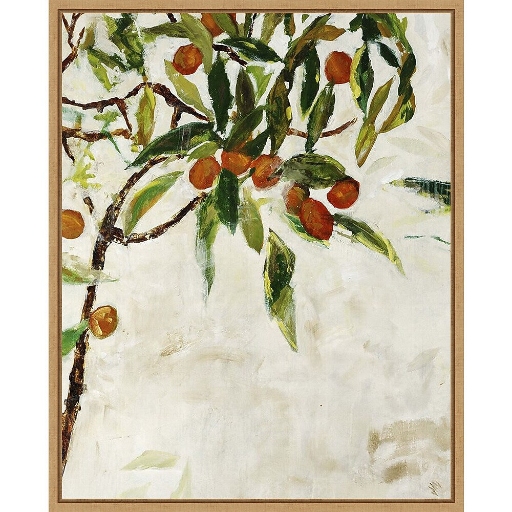 Amanti Art Kumquat Tree by Jodi Maas Framed Canvas Wall Art Print, 23" x 28" (A42677747772)