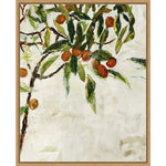 Amanti Art Kumquat Tree by Jodi Maas Framed Canvas Wall Art Print, 23" x 28" (A42677747772)
