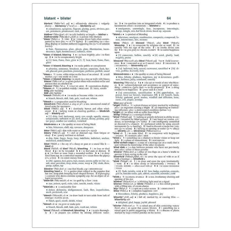 Federal Street Press Webster's All-in-One Dictionary & Thesaurus, Third Edition (FSP9781596951846)