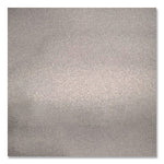 Rust-Oleum Universal Premium Spray Paint, Nickel, 12 oz., 6/Carton (249130)