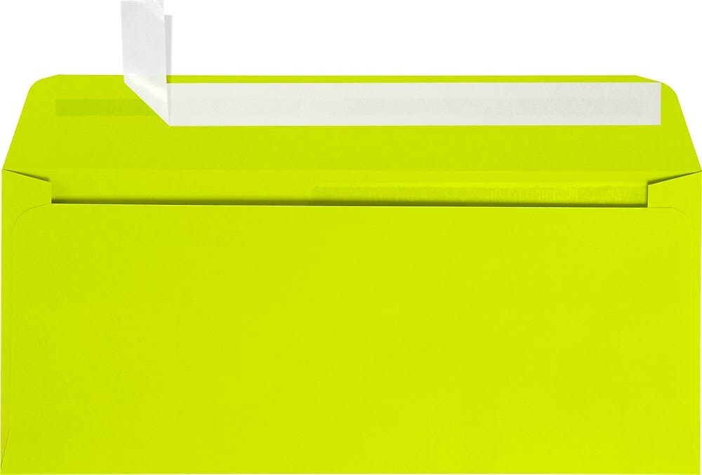 JAM Paper Self Seal #10 Booklet Envelope, 4 1/8" x 9 1/2", 50/Pack (LUX-10APW-L22-50)