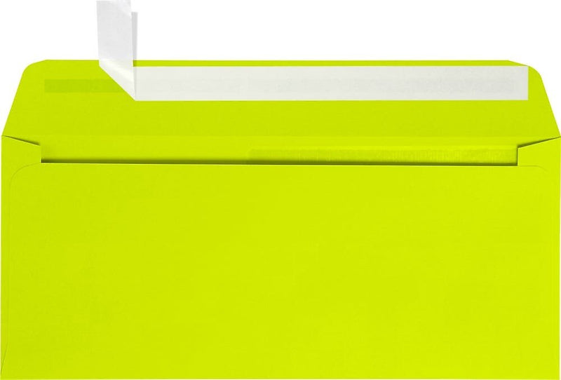 JAM Paper Self Seal #10 Booklet Envelope, 4 1/8" x 9 1/2", 50/Pack (LUX-10APW-L22-50)