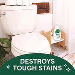 Toilet Bowl Cleaner, Fresh Mint Scent, 24 oz Bottle, 4/Carton