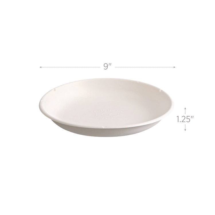 Vanguard Worldview Renewable and Compostable Sugarcane Take-Out Containers, 34.1 oz, 9 x 9 x 1.25, White, 400/Carton