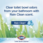 Disinfecting Toilet Bowl Cleaner with Bleach, Rain Clean Scent, 24 oz Bottle, 2/Pack