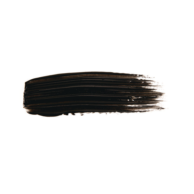 Portfolio Series Acrylic Paint, Ivory Black, 16 oz Bottle