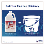 No Rinse Sanitizer Concentrate, 1 Gal Bottle, 4/carton
