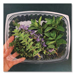 Renewable and Compostable Rectangular Deli Containers with Lid, 24 oz, 4 x 5.5 x 2, Clear, Plastic, 50/Pack, 4 Packs/Carton
