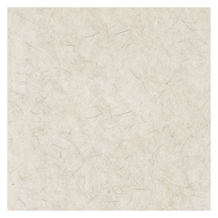 Natural Burnishing Floor Pads, 17" Diameter, White, 5/carton