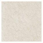 Natural Burnishing Floor Pads, 19" Diameter, White, 5/carton