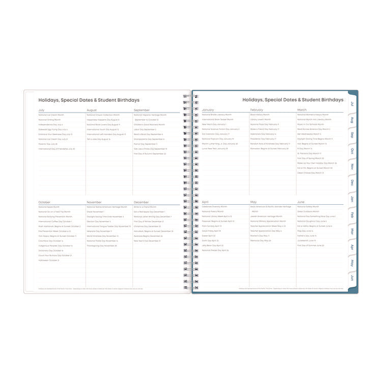 Ditsy Dapple Light CYO Cover Weekly/Monthly Lesson Planner, 2025-2026, Nine Classes, Multicolor Cover, (70) 11 x 8.5 Pages