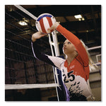 Olympic Power Volleyball Net, 32 ft x 3 ft