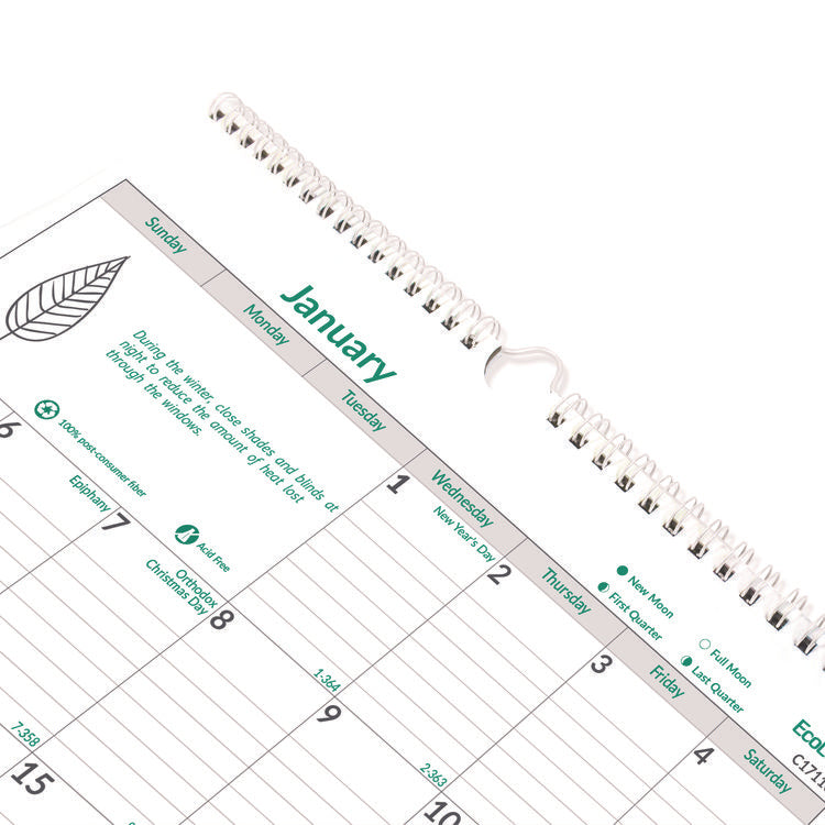EcoLogix Monthly Wall Calendar, EcoLogix Artwork, 12 x 17, White/Green Sheets, 12-Month (Jan to Dec): 2025