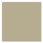 Camouflage Spray Paint, Flat Sand, 12 oz Aerosol Can