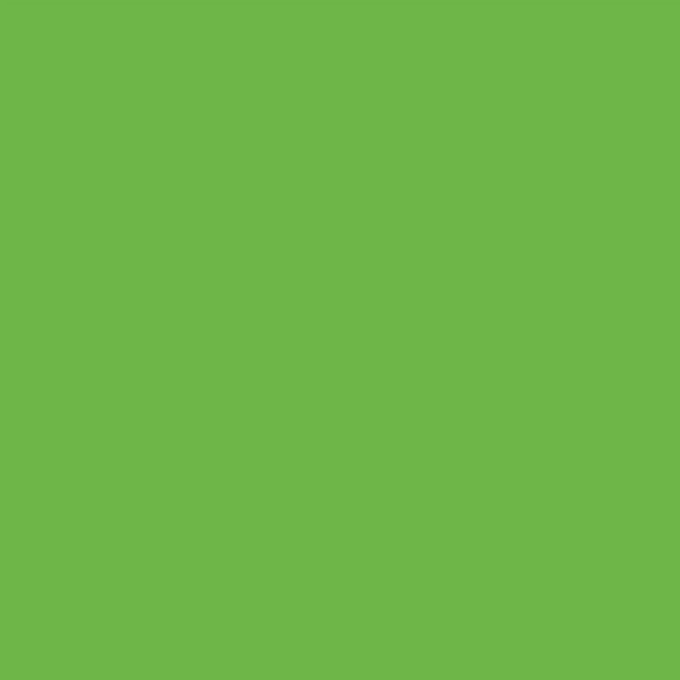Specialty Fluorescent Spray Paint, Flat Fluorescent Green, 11oz Aerosol Can