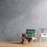 Concrete Interior Wall Paint, Flat Charcoal Gray, Quart Can, 2/Carton