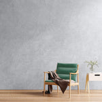 Concrete Interior Wall Paint, Matte Sidewalk Gray, Quart Can, 2/Carton