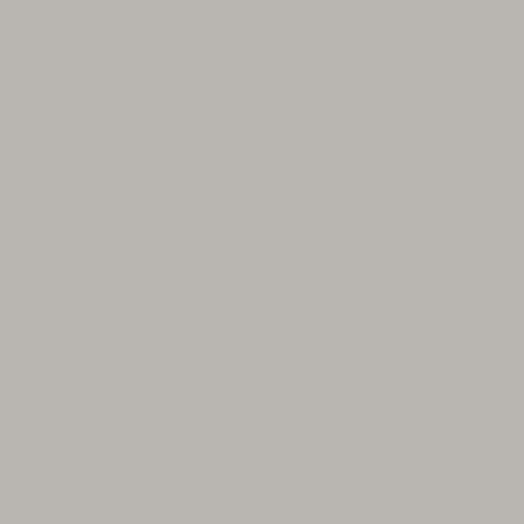Stops Rust 5-in-1 Spray Paint, Gray, 12 oz Aerosol Can, 6/Carton