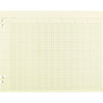 Accounting Sheets, 24 Columns, 11 X 14, Green, Loose Sheet, 100/pack