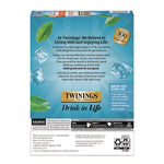 Brew Over Ice K-Cups, Peach, 24/Box