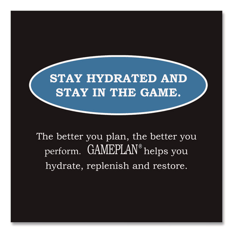 Gameplan Sports Drink, Mixed Berry, 20 oz Bottle, 24/Carton