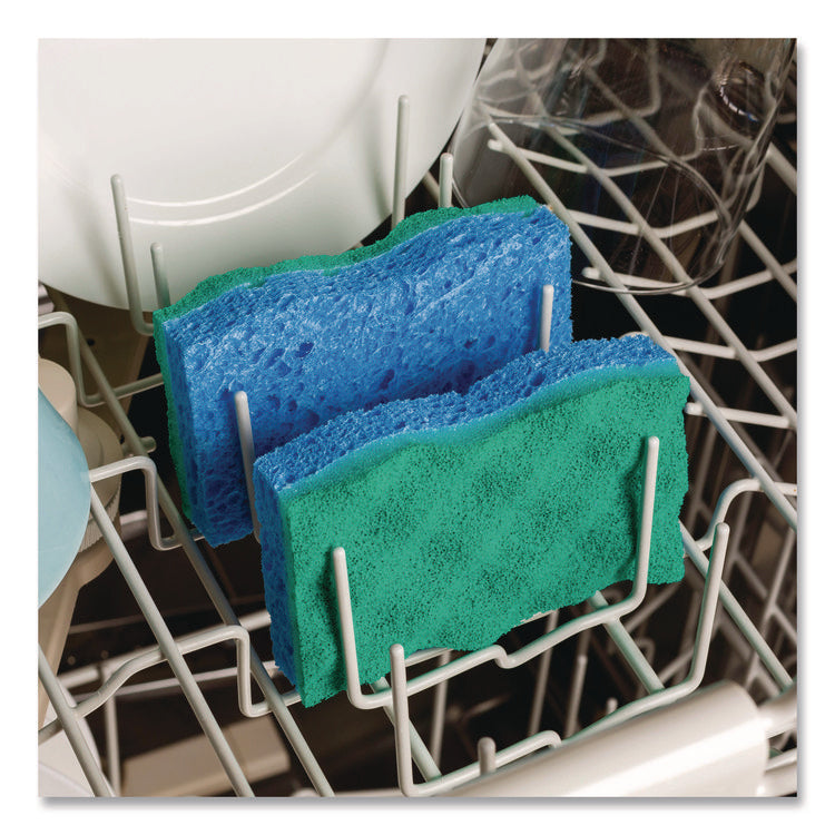 Scrunge Non-Scratch Scrub Sponge, 2.63" x 4.25", 1" Thick, Green/Blue, 2/Pack