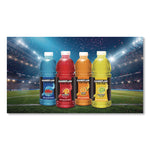 Gameplan Sports Drink, Mixed Berry, 20 oz Bottle, 24/Carton