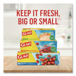 Zipper Food Storage Plastic Bags, Gallon Size, 10.75 x 10.19, Clear, 20 Bags/Box, 12 Boxes/Carton
