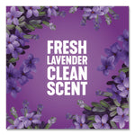 Multi-Surface Cleaner Concentrated, Lavender Clean, 24 oz Bottle, 12/Carton